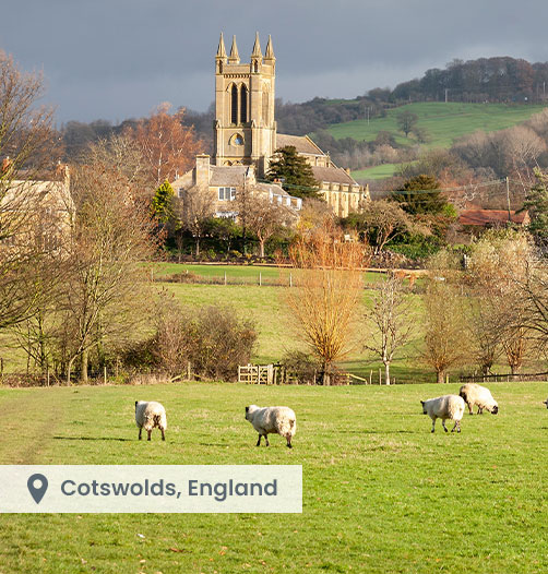 This unique selection of hand-picked designs embraces the unexpected.